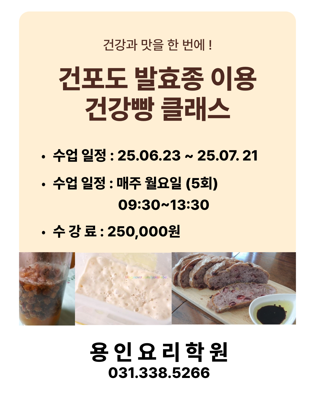 발효종.png